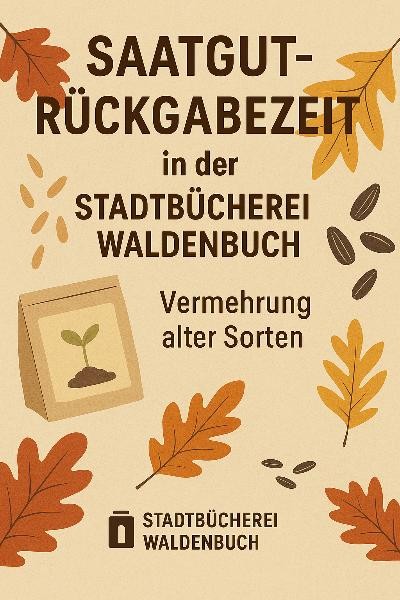 Beet mit Salatköpfen