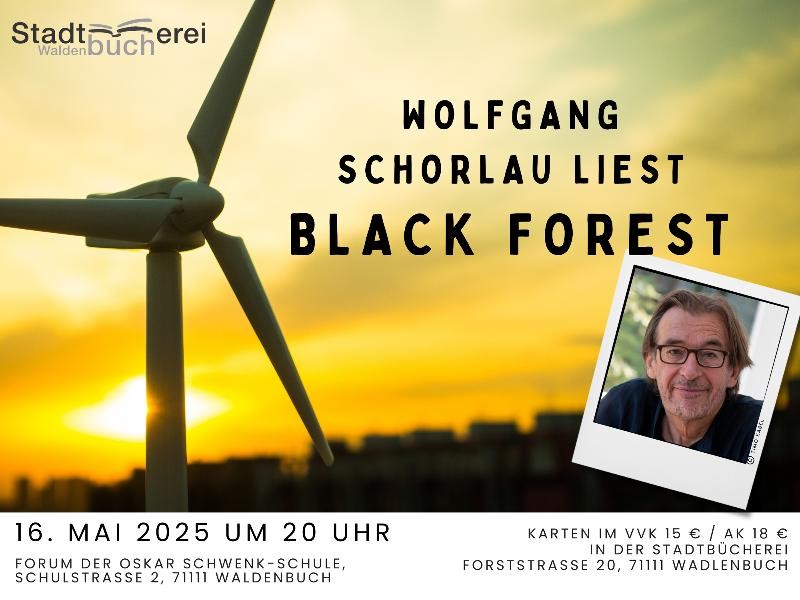 Plakat Schorlau Lesung